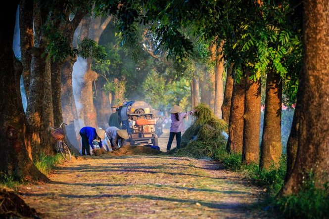 Hà[-]Tây[-]bình[-]dị[-]và[-]thơ[-]mộng[-]dưới[-]ống[-]kính[-]nhiếp[-]ảnh[-]gia[-]Nguyễn[-]Đình[-]Thành